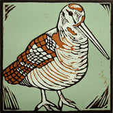 Lino Print - Woodcock